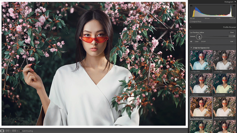 Presets+mov+to+gif+01+1000.gif